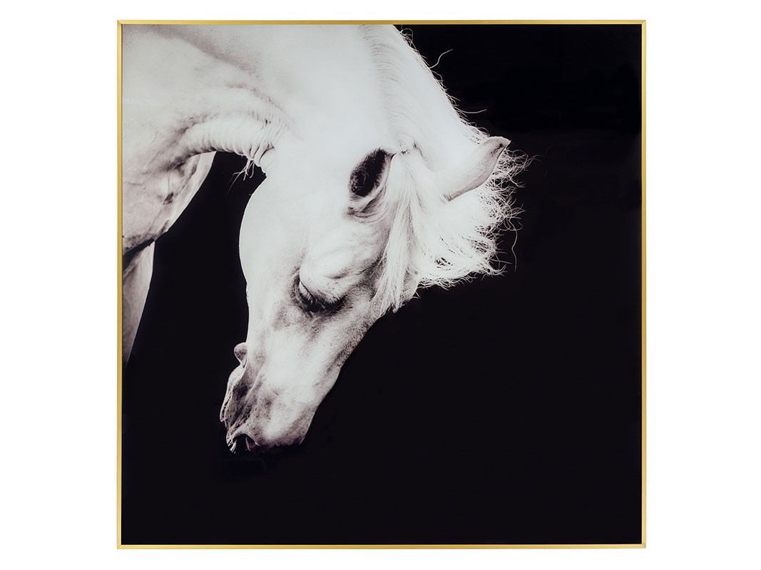 Imagen de caballo y Marco Negro Y Blanco LGE 50 X 50cm