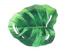 Plato fuente de cristal diseño hoja verde