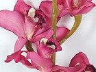 Rama orquídea flores rosa artificial