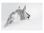 Cuadro digital sobre vidrio caballo blanco