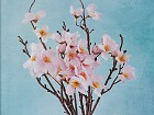 Cuadros digitales sobre vidrio flores B