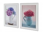 Cuadros digitales sobre vidrio flores C