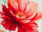 Cuadro espejo flor roja A