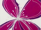 Cuadro espejo flor fucsia B