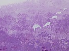 Óleo paisaje campo