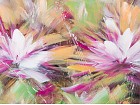 Cuadro óleo flores 120X120 cm A
