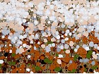 Óleo flores blancas 50X150 cm