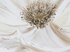 Cuadro flor blanca