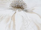 Cuadro flor blanca