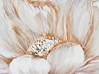 Cuadro flor blanca beige
