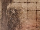 Cuadro elefante marrón