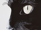 Cuadro gato negro