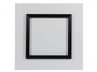 Cuadro plexiglass caballo B