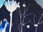Cuadro flores azules