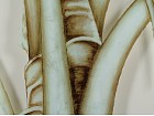 Cuadro palmera B