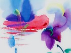 Cuadro colores C