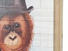 Cuadro mono con sombrero