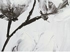 Cuadro flores blanco y negro