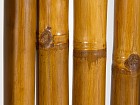 Separador de bambú nogal