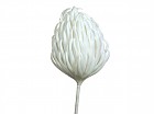 Flor espuma blanca 87 cm
