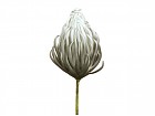 Flor espuma gris 87 cm