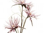 Flor espuma blanco/púrpura A