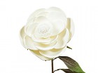 Flor espuma blanca J