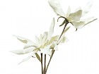 Flor espuma blanca K 