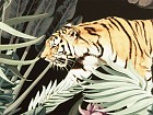 Caja joyero tigre