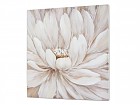 Cuadro flor blanca