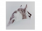 Cuadro plexiglass caballo B