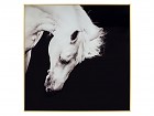 Cuadro caballo en blanco y negro