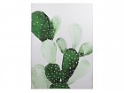 Cuadro cactus verde