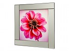 Cuadro espejo flor rosa A