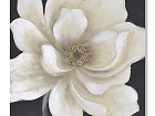 Cuadro flor blanca 