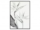 Cuadro planta ave del paraíso blanco y negro