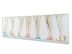Cuadro retro piernas de mujeres