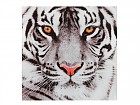 Cuadro tigre plexiglass 80x80 cm