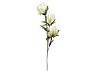 Flor espuma blanca B