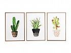 Set 3 cuadros plantas estilo acuarela