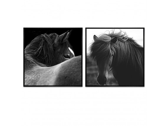 Set 2 lienzos caballos en blanco y negro